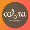 Cobra iptv