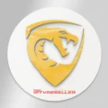 Python IPTV